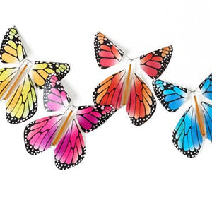 Flying Magic Butterfly® Greeting Card - Graduation