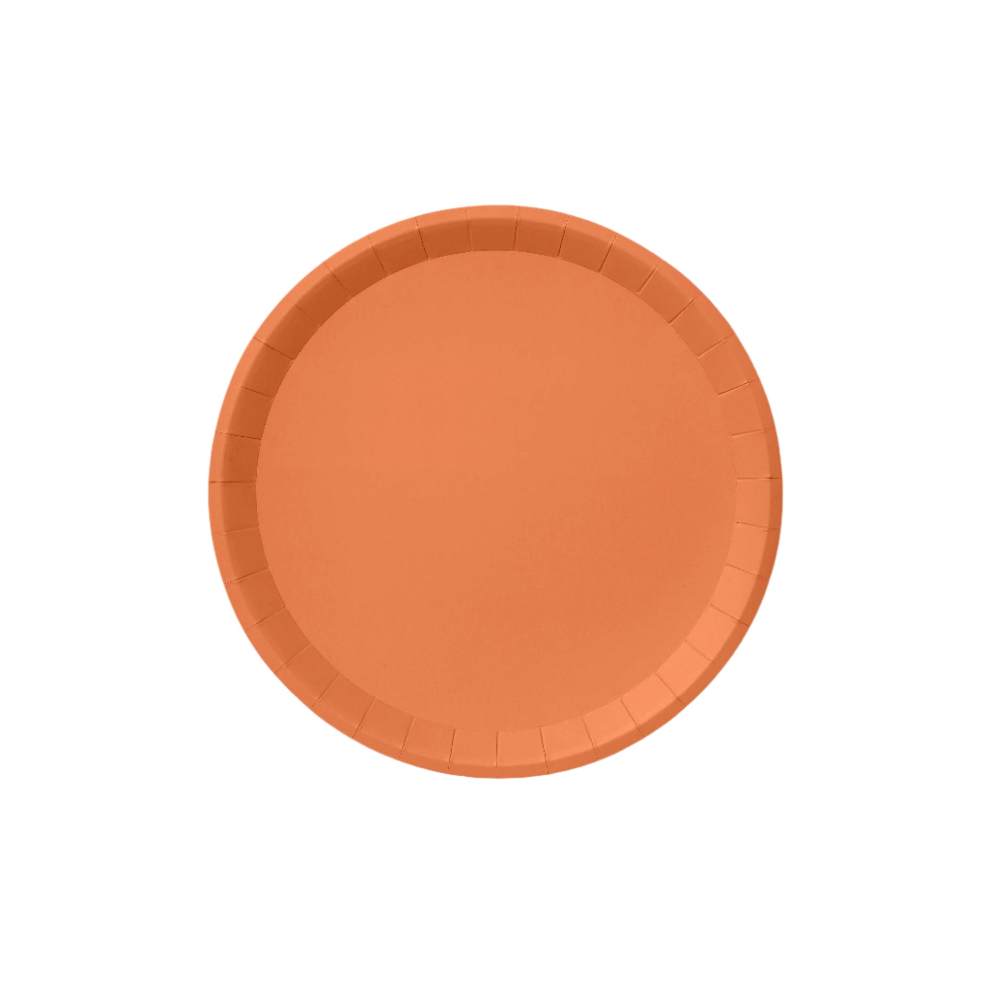 Tropical Coral Large Paper Party Plates (10 per Pack)