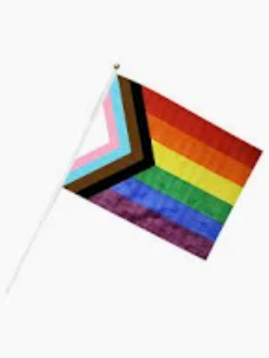 Pride Flags - 8in x 5in