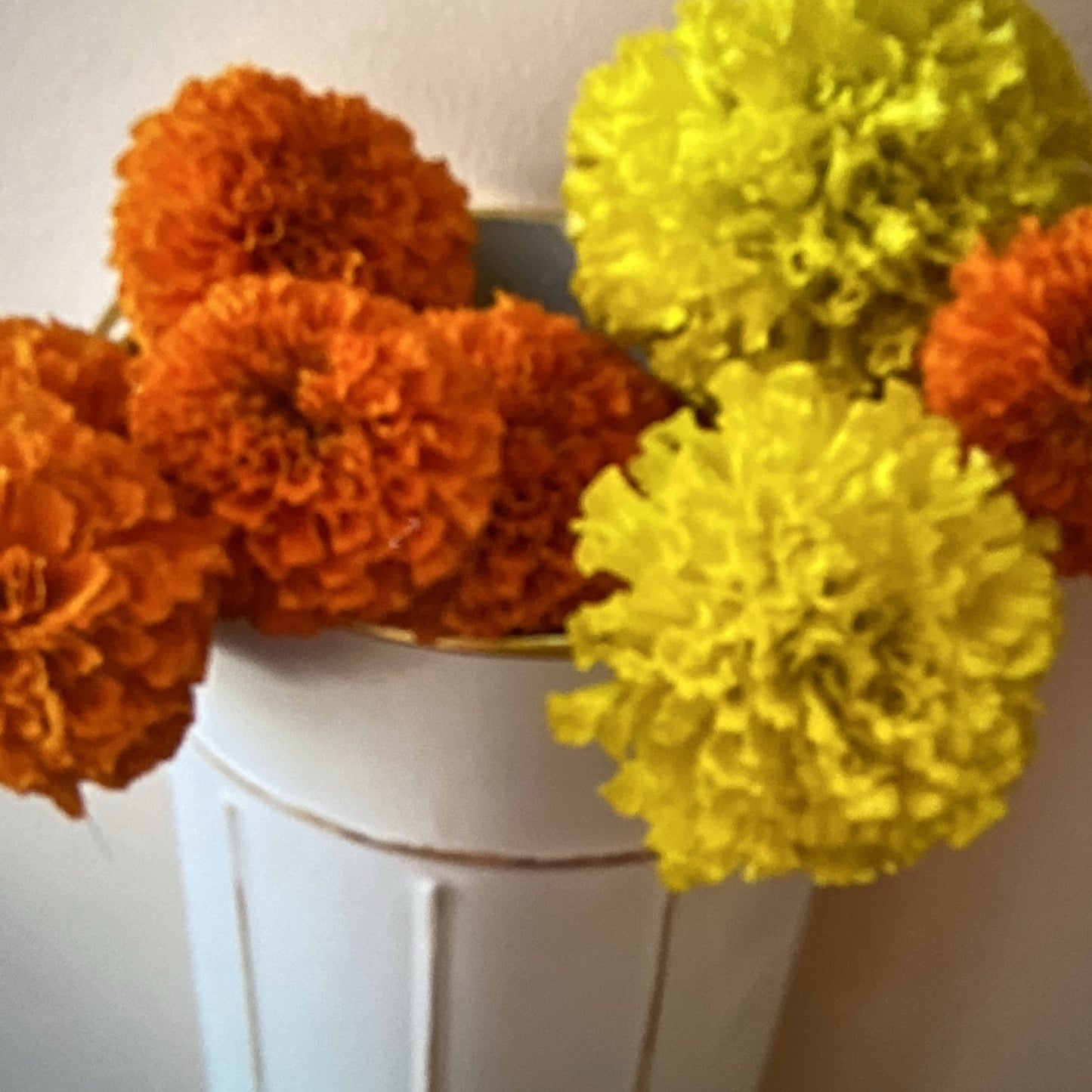 Marigolds