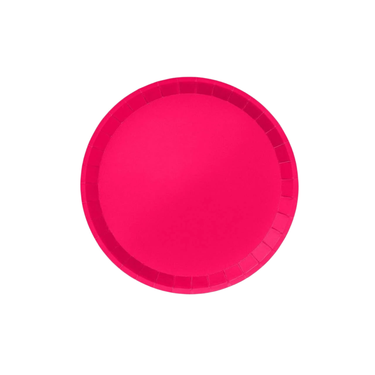 Hot Pink Large Paper Party Plates (10 per Pack)